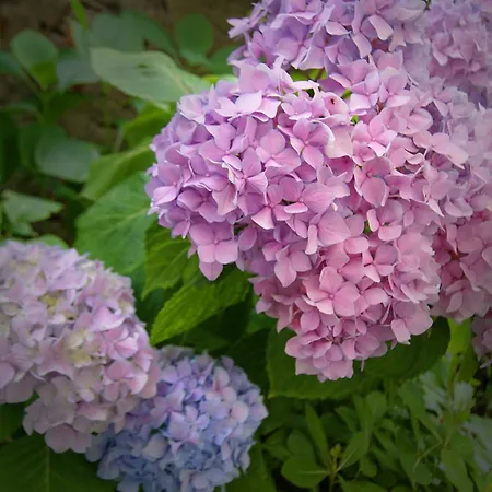 L'isola Di Bar Apartamento *